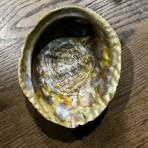 Vintage Abalone Shell Lucite Footed Bowl Beach House Decor Large.